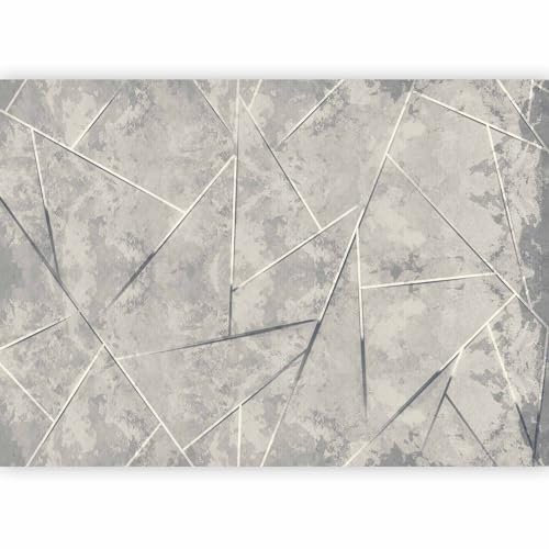 murando Papier peint intissé Béton 350x256 cm Décoration Murale XXL Poster Tableaux Muraux Tapisserie Photo Trompe l'oeil Abstrait géométrique gris a-C-10006-a-b