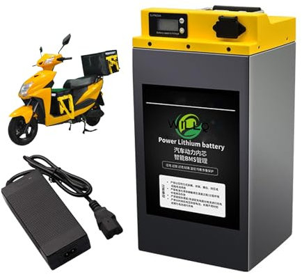 WILLQ E-Bike-Akku 60 V 72 V 25 Ah 30 Ah 40 Ah 50 Ah Lithium-Akkupack Hochleistungs-Einbauakku für 500 W 1500 W 2500 W Elektro-Dreiradmotor mit Ladegerät + BMS,72v25ah
