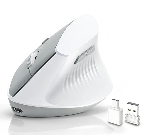 LOONASA Ergonomic Vertical Mouse - Wireless Bluetooth & 2.4G & USBC Rechargeable Mouse for Wrist Pain Relief, 2400 DPI High Precision Optical with Silent Click, for PC, Laptop, Mac, iPad, Windows
