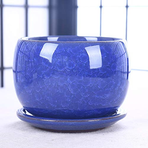 GImLY Eisgeknackter Keramik-Sukkulenten-Blumentopf, einfach mit Tablett, auslaufsicher, Blumentöpfe für alle Zimmerpflanzen, Blumen, Usambaraveilchen, Sukkulenten, Kaktus-Blumentöpfe (Color : Blue)