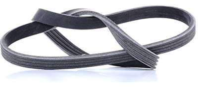 Contitech 4PK903ELAST V-Ribbed Belt