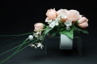 Snap Band für das Handgelenk weiß oder champagner 2Stk Farbe weiß