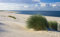 Forwall Fototapete Dünen Strand Meer Ostsee Gras Sand Landschaft Wohnzimmer Schlafzimmer Vlies Tapete Wandtapete UV-Beständig Montagefertig (655, VEL (152x104 cm) 1 Bahn)