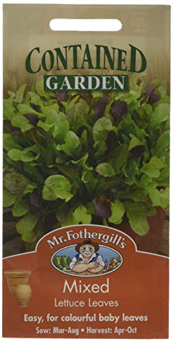 Mr Fothergill's 14953 Vegetable Seeds, Mixed Lettuce Leaves, red/Green