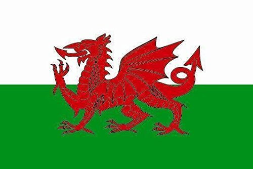 U24 Aufkleber Wales Flagge Fahne 8 x 5 cm Autoaufkleber Sticker