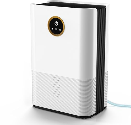 Deumidificatori per la casa Camera da letto Deumidificatore silenzioso da 1000 ml con spegnimento automatico, luci a LED Piccolo deumidificatore elettrico per il bagno camera da letto casa Damps