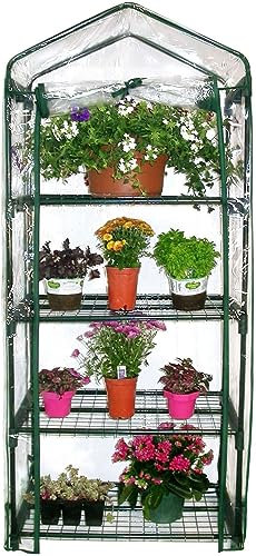 Garden Store Direct Mini Greenhouse Cold Frame, Portable Plant Growing & Propagation for Home, Work, Allotment, Balconies - Choose from 2 Tier, 3 Tier, 4 Tier or 5 Tier (4 Tier Growhouse)