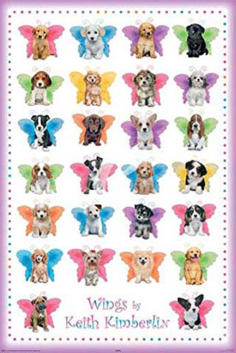 empireposter Kimberlin, Keith - Wings Dogs - Tier-Poster Hunde - Grösse 61x91,5 cm + Wechselrahmen, Shinsuke® Maxi Aluminium Silber, Acryl-Scheibe
