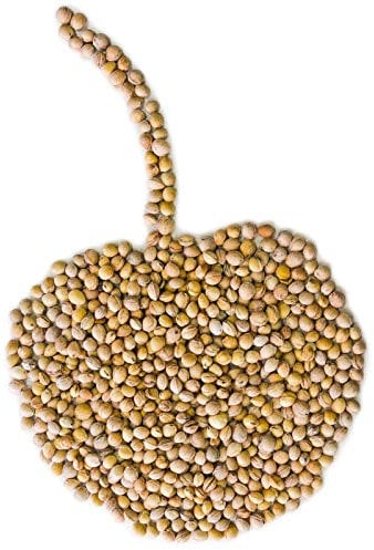 Kirschkerne lose für Wärmekissen Kirschkernkissen 10 kg Kissen Waermekissen Baby Füllung Körnerkissen Kerne Koernerkissen Füllmaterial (1,78EUR/kg) Petigi