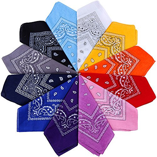 Anpro 12 Pezzi Bandane Multicolori per Cappelli,Bandana per Capelli, Collo,Testa,Sciarpa Fazzoletti da Taschino,Disegno Paisley,Realizzati in 100% Cotone