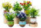 ARTKETTY 6 Packs Fake Plants Small Artificial Potted Plants, Ceramic Realistic Faux Plants Indoor for Home Office Bedroom Living Room Bathroom Shelf Decor