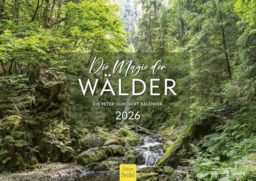 Edition Seidel Premium Kalender Die Magie der Wälder 2026 Format DIN A3 Wandkalender Natur Wald Lorbeerwald Urwald Dschungel Moor Ravennaschlucht Peter Schickert