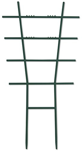 Windhager 05712 Tuteur pour Plantes 57 x 31 cm, Vert