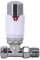 WarmeHaus 15mm Straight Chrome/White Thermostatic Radiator Valve