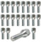 TRACER 20 bulloni per ruota, conici, argento, M12 x 1,25, 22 mm (argento, 26 mm (SW17)