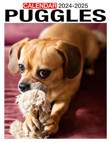 Puggles Calendar 2024 - 2025: Monthly Planner Jan 2024 to Dec 2025, Thick & Sturdy Paper, Unruled Blocks, Eco Friendly, Great Gifts For Beloved Fan