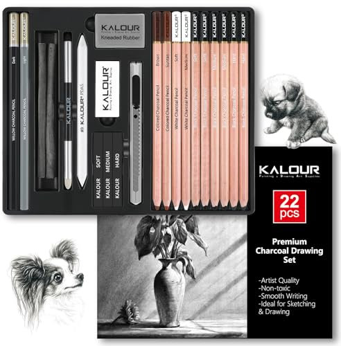 KALOUR PDAS Set de Dibujo en Carboncillo de 22, Suministros de Arte Profesionales, Lápices de Carboncillo Negro y Blanco para Dibujar, Bosquejar, Sombrear, Mezclar, para Artistas Principiantes