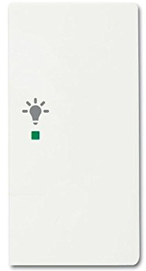 Wippe/R 2-fach, Licht BUSCH-JAEGER 6231-22-884