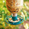 Parkland Pack of 2 Bottle Top Hanging Bird Feeder Kit - RECYCLE Drink Bottles Into Wild Bird Feeders