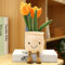 NatureMan Tulip Plüschtier, 35,1 cm, orangefarbener Tulpenblumentopf, gefüllt, Überwurf, Plüschkissen, Puppe, weich, flauschig, Pflanzenfreund, Umarmungskissen – Geschenk für jedes Alter und jeden