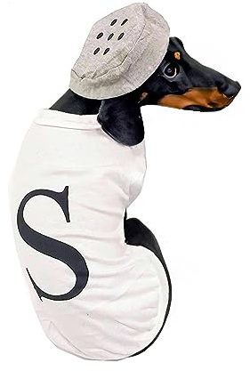 Salt and Pepper Dog Costume Halloween Pet Dog Cosplay Salt & Pepper Theme Costume (White, Large)