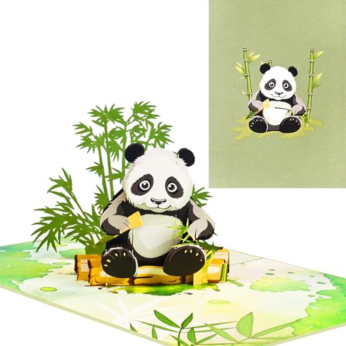 3D Geburtstagskarte,Pop Up Panda Karte,Panda und Bambus Kinder Geburtstagskarte,Abschlusskarte,Ermutigungskarte,Reisekarte