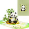 3D Geburtstagskarte,Pop Up Panda Karte,Panda und Bambus Kinder Geburtstagskarte,Abschlusskarte,Ermutigungskarte,Reisekarte