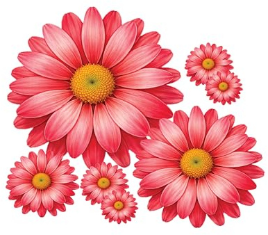 10 Colourful Daisy Flower Stickers, Cute Flower Decal Stickers, Wall Stickers for Girls Bedroom, Suitcase Stickers, Ideal for Bin, Car, Laptop, Bike, Wall, Dustbin. Camper Van (Red)