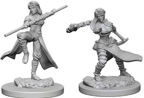 Dungeons & Dragons Nolzur's Marvelous Unpainted Miniatures (W1) Human Female Monk