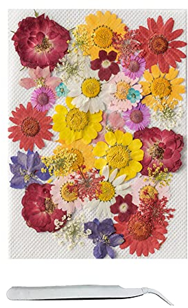 Cayway 42 Stück Echt Getrocknete Gepresste Blumen DIY Getrocknete Gepresste Blätter DIY Gepresste Blumen Gemischte Getrocknete Blumen