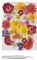 Cayway 42 Stück Echt Getrocknete Gepresste Blumen DIY Getrocknete Gepresste Blätter DIY Gepresste Blumen Gemischte Getrocknete Blumen