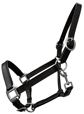 German Riding Lederhalfter Basic schwarz unterlegt verstellbar an Nase und Genick (XFull)