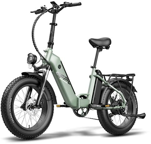 Fafrees [ Offiziell FF20 Polar E Bike Herren Faltbar mit 48V 10,4Ah*2 Akkus bis 160KM, E-Bike Klapprad 20 Zoll, E-Bike Damen Mountainbike, Faltbares Elektrofahrrad Fatbike Erwachsene (Grün)
