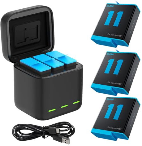 Caricabatterie Triplo e scatola di immagazzinaggio della batteria con caricatore a 3 canali con 3 batterie con cavo di tipo C USB per Go Pro Hero 12 Hero 11/10/9 Black