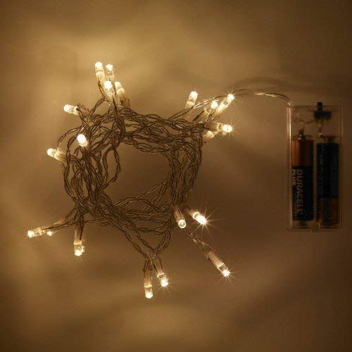eBuzz Battery Operated Fairy Lights with 20 Warm White LEDs (Warm White)