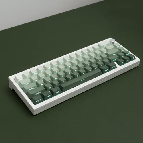 PBT Doubleshot Tastenkappen, Farbverlauf, grüne Hintergrundbeleuchtung, OEM-Profil-Tastenkappen, 105 Tasten, benutzerdefinierte Tastaturkappen für Cherry Gateron MX Switches mechanische Tastatur