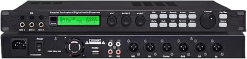 Processore audio, DSP digitale professionale, uscita 5.1 canali, 3 canali microfonici, riverbero digitale, anti-ululato per prestazioni e amplificazione del palco