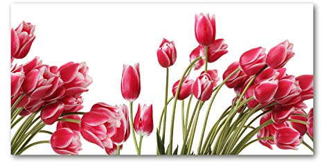 Tulup Glass Picture Wall Art - 100x50cm - Tempered Glass Decoration - Print for Living room Bedroom - Toughened Glass Image - Glass picture Wall Art - Red tulips