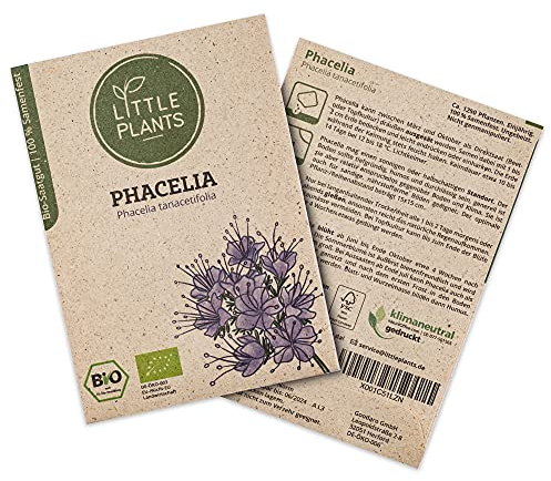 Little Plants BIO Phacelia Samen, 1250 Phaceliasamen, hohe Keimrate, 100% Natürlich, BIO Samen Bienenfreund für Blumengarten Blumenbeet Hochbeet – BIO Blumensamen Blumenwiese Nachhaltig