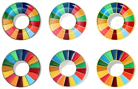 BaronHong Brosche mit Zielen für nachhaltige Entwicklung, Anstecknadel der Vereinten Nationen für SDGs, Regenbogen-Anstecknadel, Emaille-Anstecknadel-Dekoration (6er-Pack, M)