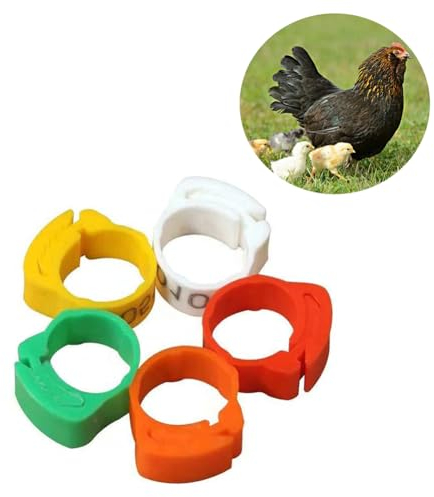 Gerrit Geflügelbeinringe, Identifikationsbeinringe, 001-100 5 Farbnummern, geeignet für Huhn, Ente, Gans und Wachtel 0-100 Mixed Colors