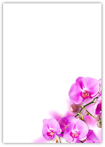 Motiv Briefpapier (Blumen-5029, DIN A4, 100 Blatt). Einseitig bedrucktes Briefpapier, sehr gut beschreibbar, Motivpapier für alle Drucker/Kopierer geeignet Motiv Blumen wunderschöne Orchideen pink rosa