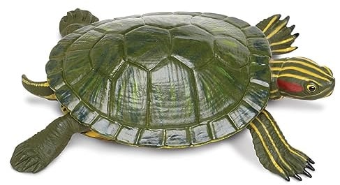Safari Ltd. Red-Eared Slider Turtle Figurine - Realistic 5.25 Model Figure - Educational Toy for Boys, Girls, and Kids Ages 18M+