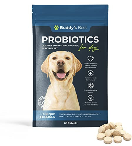 Probiotics For Dogs | 60 Tablets | Supports Healthy Digestive & Immune System | Unique Formula Contains Beta Glucans, Turmeric & Ginger