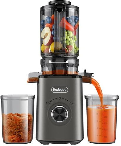 Entsafter Slow Juicer mit 120mm XL-Einfüllöffnung für ganze Gemüse und Obst, 600 mL Saftbehälter, einfache Reinigung, Elektrische Saftpresse für Familien, Fitness & Gesundheitsbewusste(Grau)