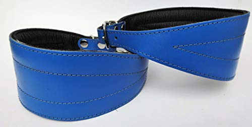 Greyhound Windhund - Podenco - Galgo Halsband, Halsumfang 33-41cm/57mm, Leder °BLAU° (594)