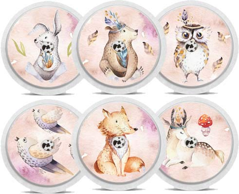 Diasticker® - Sticker für Freestyle Libre 2 Sensor - 6er Set “Friends of Forest”