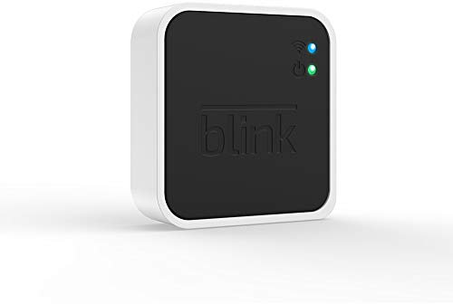 Blink Sync Module 2, Zusatzprodukt