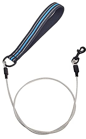 Suredoo Chew Proof Hundeleine, Widerstandsfähigem Metall Seil Leine, Kaubeständige Edelstahl Metall-Hundekettenleine mit Gepolstertem Griff (Blau)