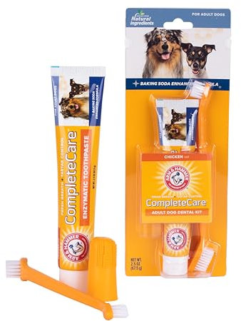 Arm & Hammer Complete Care Dog Dental Kit | 2.5oz Chicken Flavored Dog Toothpaste, Double Side Dog Toothbrush, Rubber Dog Finger Brush Baking Soda Enhanced Formula